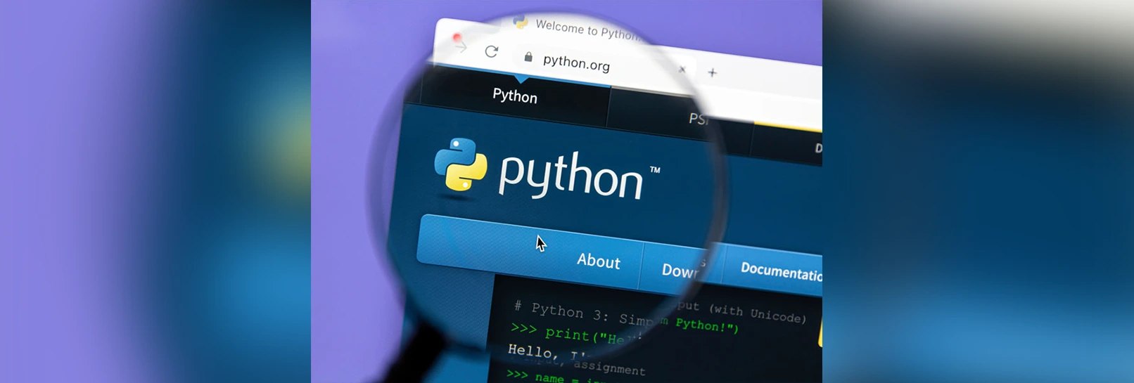 Create Projects and Portfolio in Python Classes for Confidence and Better Placement Opportunities.